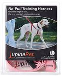 Lupine No Pull Harness