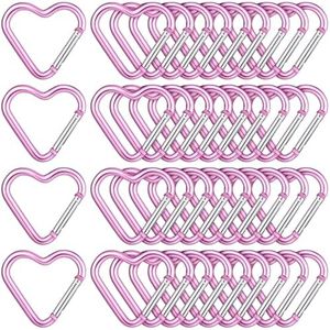 Shimeyao Heart Shape Keychain Clip Snap Key Ring Keychain Hook Aluminum Alloy Key Holder for Outdoor Traveling Walking Christmas Valentine's Gift Hammock Dog Leash Water Bottles Holder(Heart,20 Pcs)