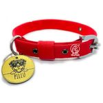 Pet Collars