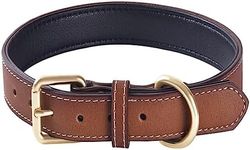 Genuine Leather Padded Dog Collar C