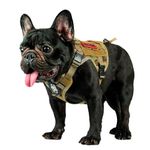 OneTigris Tactical Dog Harness Vest,No-Pull Service Dog Vest with Hook & Loop Panels,Adjustable Dog Vest Harness for Walking Hiking Training(Camo,XXS)