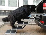 lola's pet products limited Folding dog steps large