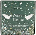 St Eval Christmas Winter Thyme Tealights - Wax - Pack of 9 - Home Decor & Office Fragrance - Gift