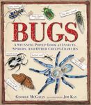 Bugs: A Stunning Pop-up Look at Ins