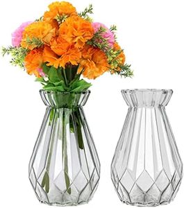 Belle Vous Vaso Vetro Trasparente Cristallo (2pz) - 15 cm - Vasi Moderni da Interno Design Cilindrici - Vaso Alto da Interno Centrotavola - Vasi Decorativi per Casa e Ufficio - Vasi Vetro per Fiori