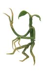 Fantastic Beasts Pickett Bowtruckle Pin Accessory Standard