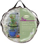 Haxnicks Pop-Up Tomato Cloche | Tomato Plant Protection Against Blight Slugs Harsh Weather | Transparent, 50 x 50 x 110 cm | Cloche010101