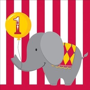 16-Count Paper Lunch Napkins, Circus Time 1st Birthday