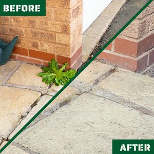 Rootblast Super Strength Weed Killer, 500ml – Fast-Acting Formula