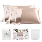 PROMEED 23 Momme Silk Pillowcase 2 Pack with Zipper, 3rd Gen Grade 6A+ 100% Mulberry Silk Pillow Case Set of 2, Cooling Pillow Cases for Hot Sleepers (Standard 20"x26", Champagne)