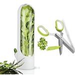 SAPRA Herb Keeper & 5-Blade Herb Scissors Set – Fresh Herb Storage Container & Stainless Steel Kitchen Shears – Easy Cutting & Storage for Basil, Cilantro, Parsley, Green Onions, and More (H_S_W)
