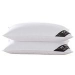 YZTEX 2 Pack Goose Feather and Down Pillows 100% Cotton Shell Soft Hotel Quality Pillows(40% Down)