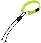 eCollar 3/4 Inch Replacement Strap Bungee Style - Dog shock collar replacement strap - dog collar for shock collar - 3/4 replacement collar - sportdog replacement collar (Lime, 3/4" - Width)