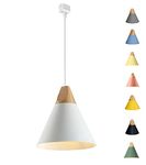 Track Lighting Pendants