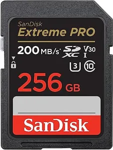 SanDisk 25