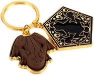 Gold Chocolate Frog keyring Harry P