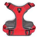 Heads Up For Tails Active Pet Dog Harness - Red - large