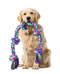 Aitmexcn Dog Rope Toys for Large Medium Dog Chewers, Rope Indestructible Dog Chew Toys, 37 Inch 5 Knots Tough Dog Tug Toy for Teeth Cleaning, Tug of War