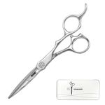 Wet and Dry Cut Professional Hair Cutting Scissors Barber Shears Japanese Aichi SUS440C Stainless Steel Tijeras de Peluqueria Shintou (5.5" Precision Cut)