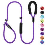 PLUTUS PET Slip Lead Dog Leash, Anti-Choking with Traffic Padded Two Handles, Reflective Strong Sturdy Heavy Duty Rope Leash, 6FT Dog Training Leash for Medium Large Dogs, 6' Violet