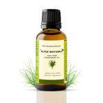 ALVEZ BOTANICA Lemon Grass Essential Oil | Aromatherapy | Natural Relaxation | Home Fragrance | 55 ml Pack of 1