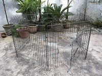 PSK PET MART Play Cage with Pen-Exercise Fence for Pups, Rabbit and Guinea Pigs 36 Inch, 1 Piece