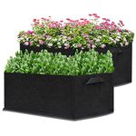 Container Vegetable Plants