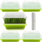 NDSWKR 5 Pack Seed Sprouter Trays with Lids, 13.4 x 9.8 x 4.3 Inch Microgreens Growing Trays, Wheatgrass Seeds Grower with Planting Papers for Cultivating Sprouts