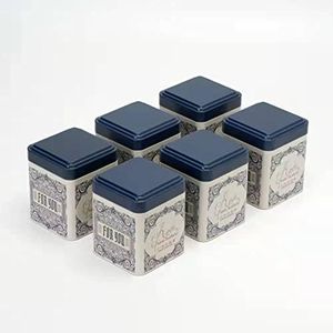 tea tins Canister with Airtight Single Lids for Loose Tea - Small Kitchen Canisters for Tea Coffee Sugar Storage, Loose Leaf Tea Tin Containers - Tea Canister - 6 pc (6PC, blue)