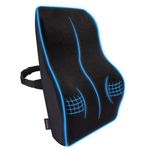 Careforce Back Support For Chair & Car Seat Back Support Chair Back Support For Back Pain Back Rest For Chair Office Lumbar Support For Car Back Rest Support Back Support Pillow Cushion Memory Foam -L