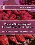 Practical Strawberry and General Be
