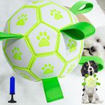 Dog Toys,Ball for Dogs,Interactive Dog Ball for Tug to War,7.9" Dog Pool Toy Dog Ball with Grab Tag Works as a Active Rolling Ball,Unchewable Dog Supplies,Comes with Air Pump.