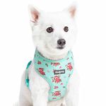 Blueberry Pet Soft & Comfy Spring Scent Inspired Floral Turquoise Dog Harness Vest, Chest Girth 16" - 21", Small, Adjustable Harnesses for Dogs