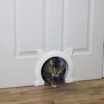 Indoor Cat Doors