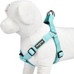 Blueberry Pet Step-in Classic Dog Harness, Chest Girth 26" - 39", Mint Blue, Large, Adjustable Harnesses for Dogs