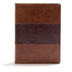 CSB Study Bible, Mahogany LeatherTouch: Christian Standard Bible, Study Bible, Mahogany Leathertouch