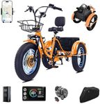 CroSight 2.0 Electric Tricycle for