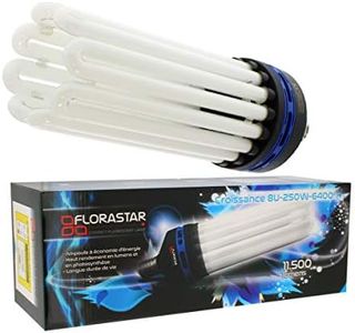 Lampe CFL 