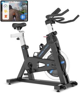 Lifespan Fitness SP460M2 Spin Bike, Black