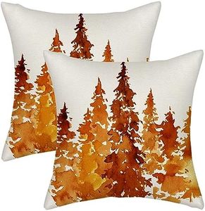 Fall Pillo
