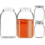 Artcome 4 Pack Glass Jar Set - 2pc 