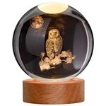JANARARY Large 3D Owl Crystal Ball Night Light, Owl Figurines in Crystal Lamp 16 Color Changing with Remote Control for Bedroom Decor, for Teens Boys and Girls, Owl
