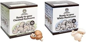 Merryhill Mushrooms - Grow Your Own