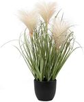 Briful Cream Pampas Grass Artificia