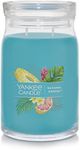 Yankee Candle Signature Bahama Breeze Jar Candle, Large