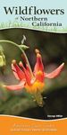 Wildflowers of Northern California: Your Way to Easily Identify Wildflowers (Adventure Quick Guides)