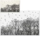 Trees Background Clear Stamps for Card Making and Photo Album Decorations, Tree Birds Clear Stamp Wild Goose Forest Rubber Stamps Seal for DIY Scrapbooking