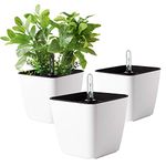 T4U 13CM Self Watering Plastic Planter with Water Level Indicator Pack of 3 - Matte White, Modern Decorative Planter Flower Pot for House Plants, Herbs, Aloe, African Violets, Succulents and More