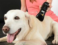 B-Cure Laser Vet - Home Laser Therapy for Animals: Accelerates Healing and Reduces Pain and Inflammation. for Dogs, Cats, Horses, Cows and Other Animals