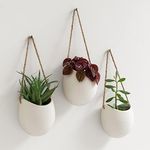 Kazai. Wall Planters -Ellie- | Hang